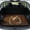 Golden Retriever Dog Daisy, variant on SEANATIVE Car Cargo Liner Anti-Slip Backing All Weather Trunk Mats Protection Cargo Mat Washable Decorative Scratch-Resistant Auto Trunk Mat for Dogs Cats, Thanksgiving Turkey Pattern Beige