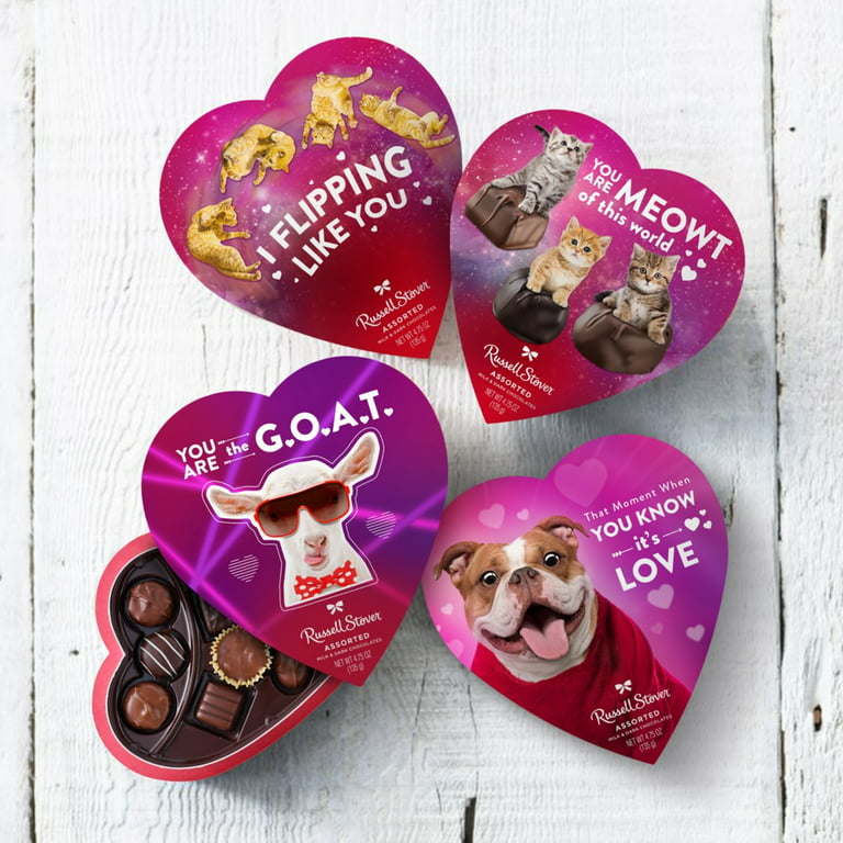 Russell Stover Valentine's Day Puppy Heart Assorted Milk & Dark