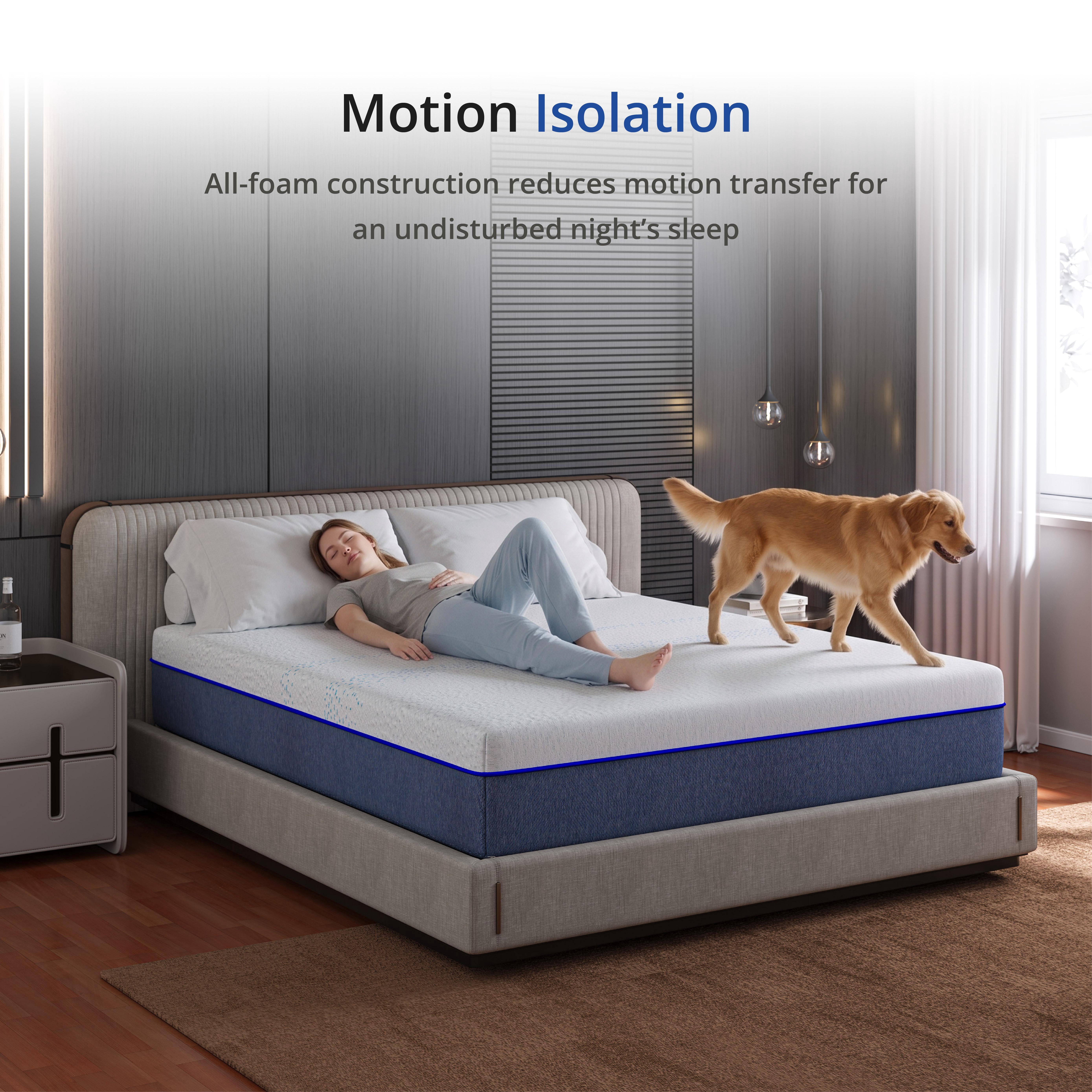 EGOHOME Essence Sleep 10” Twin, Medium Firm, Tight Top, Memory Foam Mattress in a Box