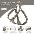 thumbnail image 2 of Pet Artist Step In Paid Dog Harness and Collar and Leash Set Step In Pet Puppy Cat Walking Vest Chihuahua Yorkshire, 2 of 9