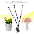 thumbnail image 3 of Adjustable LED Grow Light with Timer, 10 Brightness Levels, USB-Powered for Indoor Plants and Flowers, 3 of 5