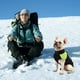 thumbnail image 4 of Chaqueta impermeable de invierno para mascotas, chaleco acolchado cálido para mascotas con correa de doble anillo en D para clima frío, ropa deportiva con cremallera para mascotas pequeñas, medianas, 4 of 8