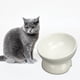 thumbnail image 5 of Cuencos Elevados De Cerámica Para Gatos, Cuencos De Agua Elevados Inclinados Para Proteger A Las Mascotas A Prueba De Deslizamiento Cervical Para Suministros Para Gatos, 5 of 7