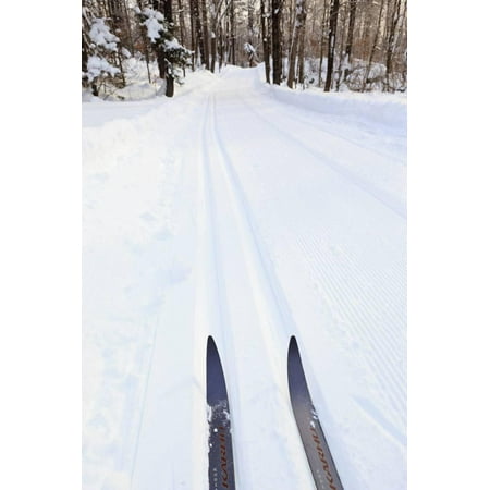 Classic Cross Country Ski - Cross Country Skis, Notchview Reservation, Windsor, Massachusetts Print Wall Art By Jerry & Marcy Monkman