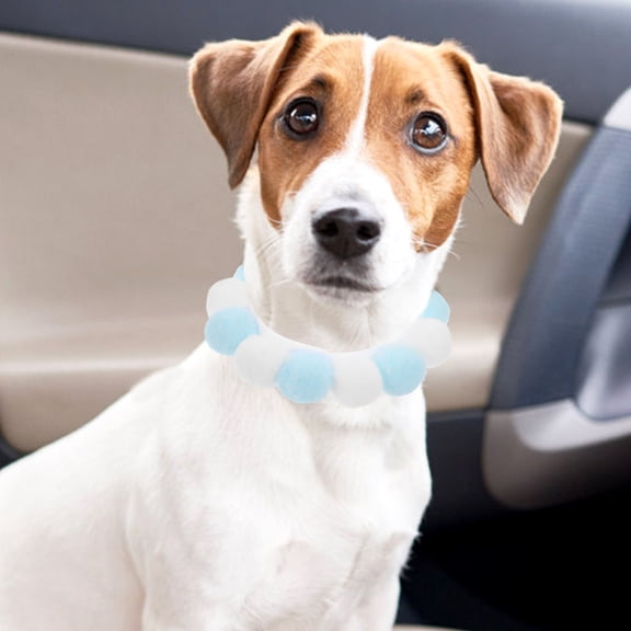 LOLIPPYY Puppy Collars for Everyday Wear with Plush Material 1Set