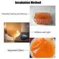thumbnail image 4 of 60G Artemia Shelling Eggs Brine Shrimp Shelling Eggfood Aquarium Hatching Tropic Fish Food for Feeding Baby Fishes, 4 of 5