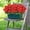Red, variant on Artificial Geranium Flowers for Outdoors, 1 Pcs Realistic Uv Resistant Faux Red Geranium Silk Flowers for Outdoor Planters Fade Proof Garden Fake Flowers Decor for Outside Porch(Red)