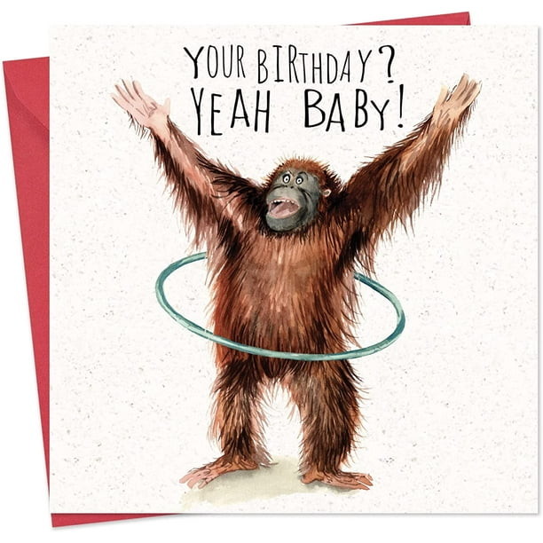 Twizler Funny Birthday Card Orangutan – Funny Card Birthday – Happy Birthday Card – Funny Birthday Card Men – Funny Birthday Card Women – Funny Birthday Card For Him – Funny Birthday Card For Her Twizler Funny Birthday Card Orangutan – Funny Card Birthday – Happy Birthday Card – Funny Birthday Card Men – Funny Birthday Card Women – Funny Birthday Card For Him – Funny Birthday Card For Her
