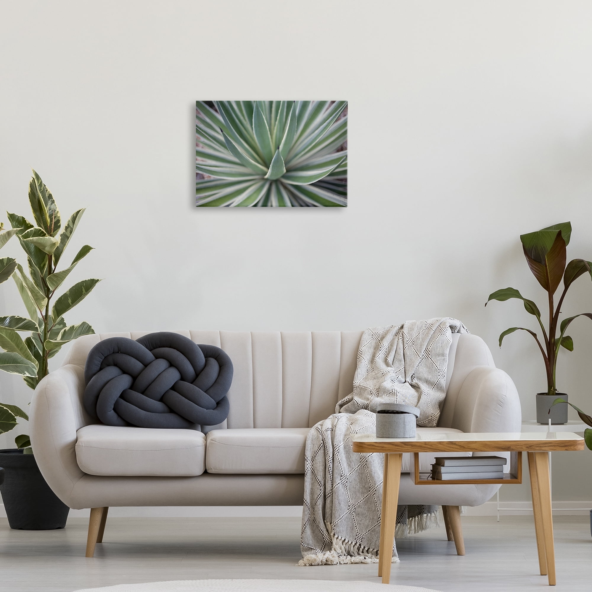 Stupell Industries Striped Plant Leaves Botanical & Floral Photography Gallery Wrapped Canvas Art Print Wall Art, 24 x 16