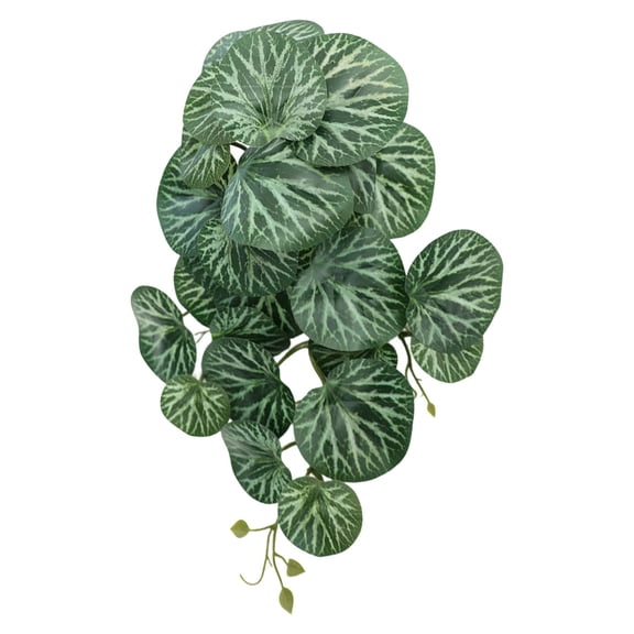 Reptile Plants for Terrarium, Artificial Hanging Plastic Plants with Suction Cups,Amphibian Tank Habitat Decor fit for Bearded Dragons Chameleon Lizards Snake