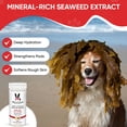 thumbnail image 5 of Warren London Deep Cleaning Paw Soak with Seaweed, Tea Tree Oil, & Aloe Vera for Dogs, 12 Count Tablets, 5 of 10
