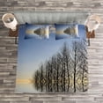 thumbnail image 3 of Ambesonne Winter Quilted Bedspread Set 3 Pcs, Frozen Lake in Nature, Queen Size, Blue Brown, 3 of 3