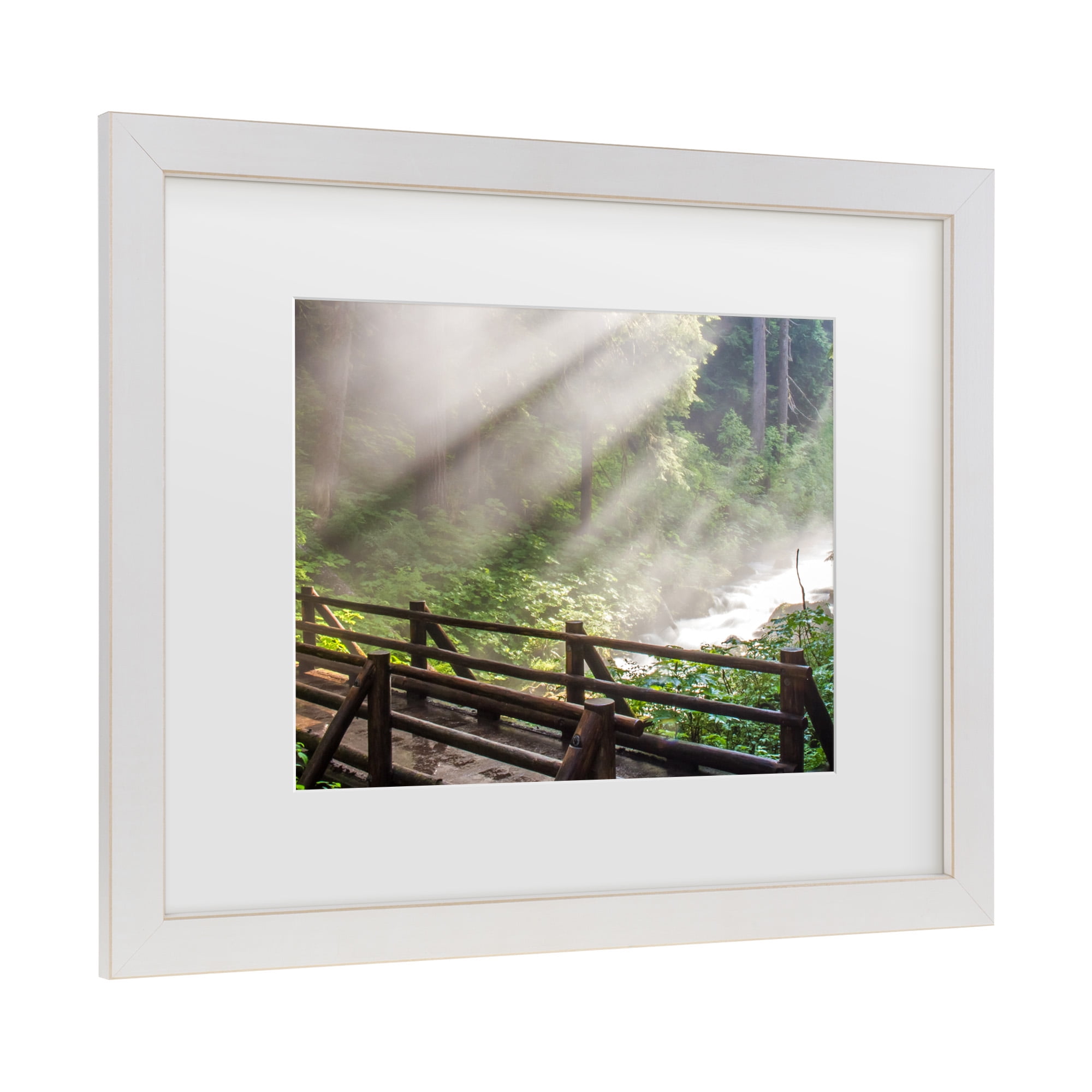 Trademark Fine Art 'Forest Sunlight' Canvas Art by Pierre Leclerc
