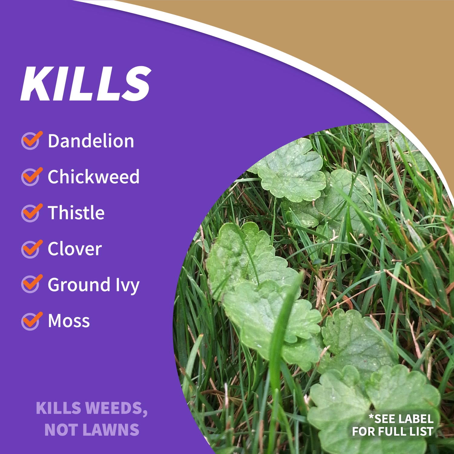 Bonide Captain Jack's Lawnweed Brew, 128 oz Herbicide Spray, Controls Weeds, Moss, Algae, Lichens