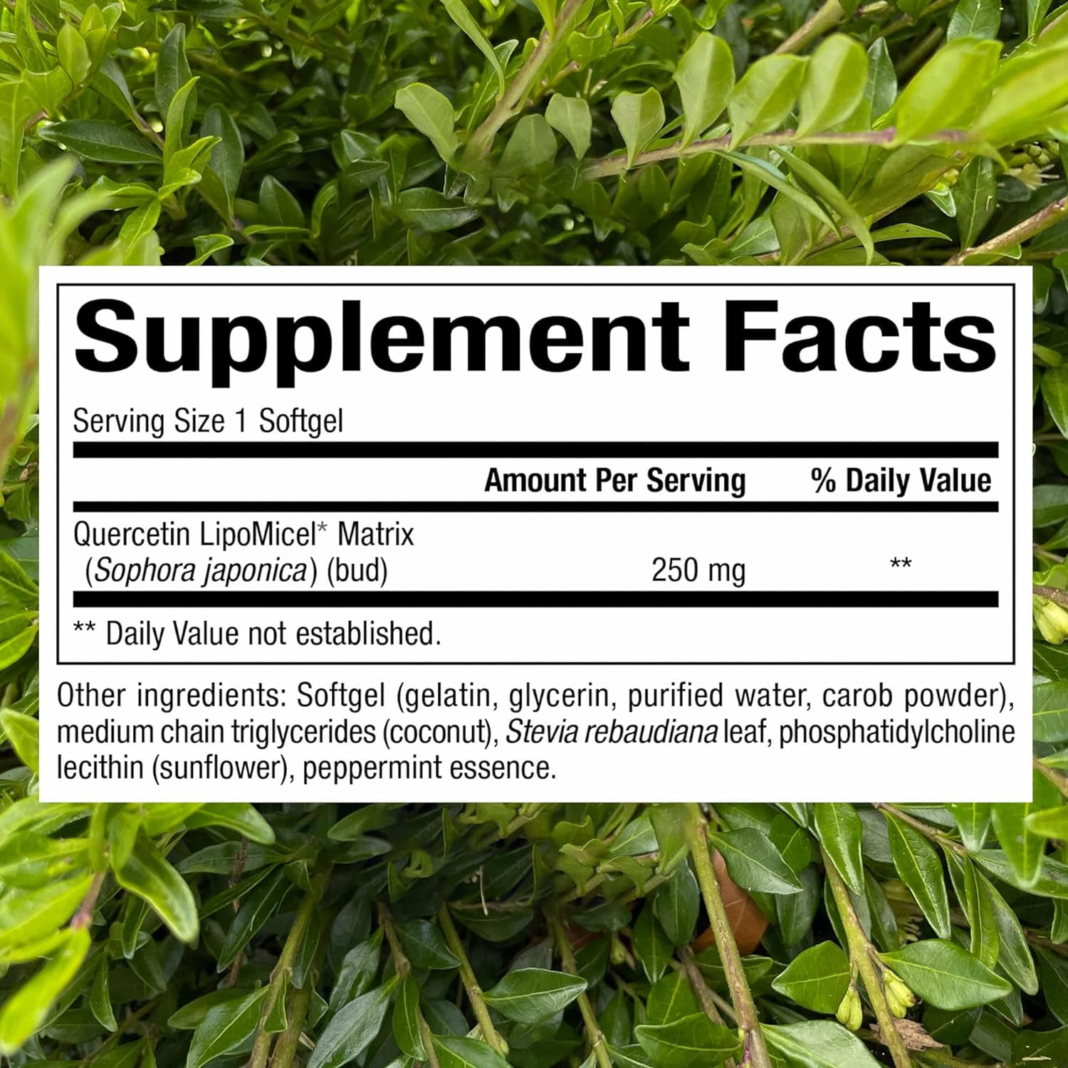 Natural Factors, Quercetin LipoMicel Matrix, 120 Liquid Softgels, 120 Softgels