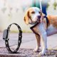 thumbnail image 5 of Rastreador GPS resistente al agua IP67, localizador de seguimiento antipérdida, rastreador de mascotas, suministros para mascotas, 5 of 9