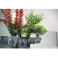 thumbnail image 3 of Penn-Plax Aquaterrium Planting Tank, 3 of 4