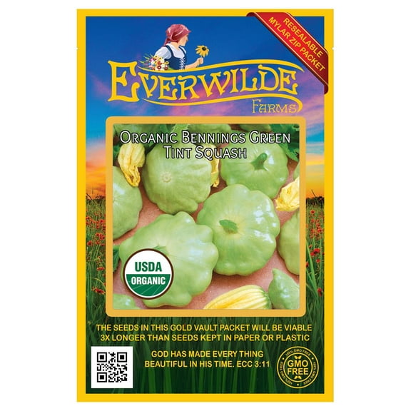Everwilde Farms - 20 Organic Bennings Green Tint Scallop Summer Squash Seeds - Gold Vault Jumbo Bulk Seed Packet