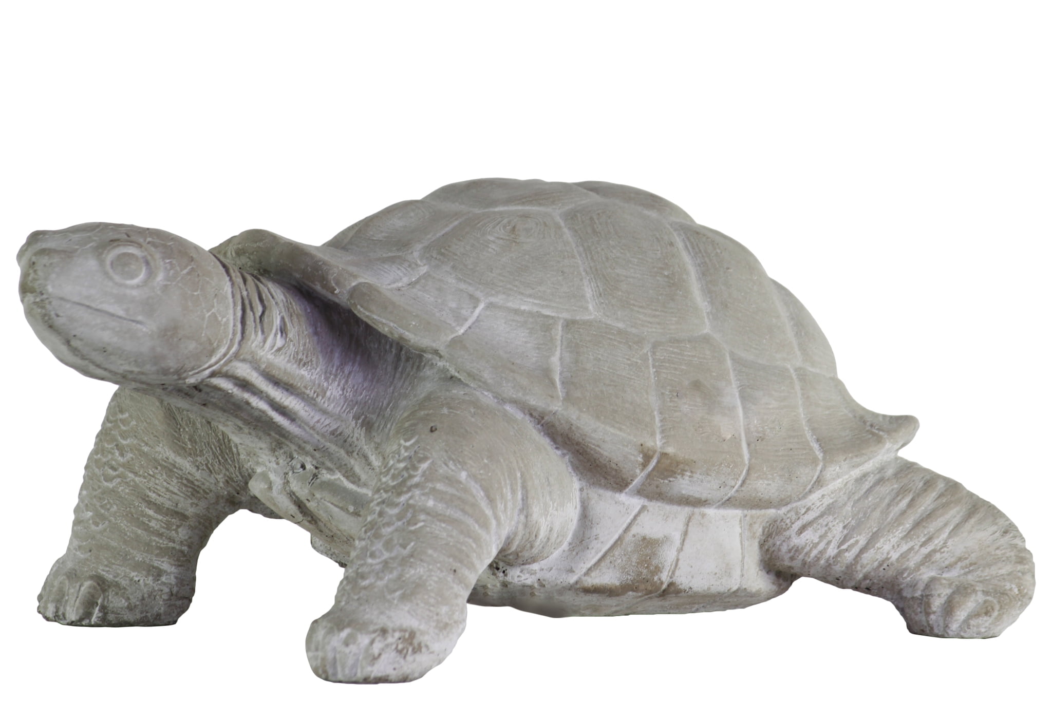 Urban Trends Collection Cement Turtle Figurine Concrete Finish Gray