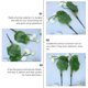 thumbnail image 2 of 3 unids flor artificial fake lotus ornament plantas de flores de seda para el hogar, 2 of 8