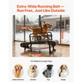 thumbnail image 2 of VEVOR Tapis Roulant pour Petits/moyens Chiens, Machine de Course pour Animaux Pacer à Lattes avec Réglage Continu, Frein et Roues, Ceinture en Plastique Améliorée pour Garder les Animaux Actifs et en Forme, jusqu'à 440 Lb, Facile à Déplacer, 2 of 9