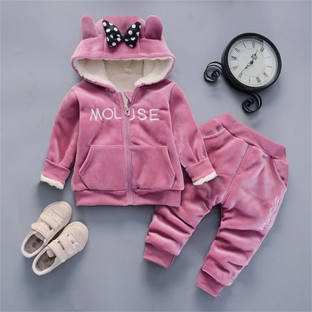 

2pcs/set Kids Sweatpants and Sweatshirt Set Little Girls Boy Warm Fleece Tracksuit Outfits Sets for Spring Fall Winter Pink 0-1 Years