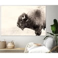 thumbnail image 3 of Giant Art 72x48 Buffalo Fine Art Giant Canvas Print in Pink, 3 of 3