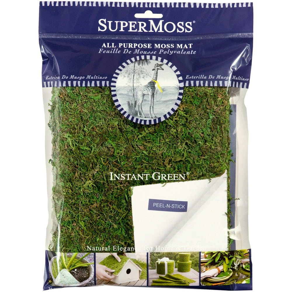 Instant Green Sticky Moss Mat 18"X16"
