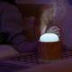 thumbnail image 3 of Mini humidificador de aire LED, recargable, silencioso, 2 modos, difusor para habitación de bebé, coche, dormitorio, madera Colco Humidificador de aire, 3 of 8
