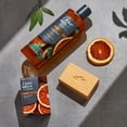 thumbnail image 6 of Dove Men+Care Body Wash To Rebuild Skin In The Shower Blood Orange + Sage With Plant-Based Cleansers And Moisturizers ,18 fl oz, 6 of 11