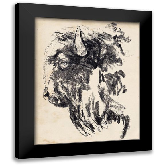 Parker, Jennifer Paxton 12x14 Black Modern Framed Museum Art Print Titled - Bison Head Gesture II