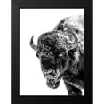thumbnail image 2 of Phillip, Jamie 12x14 Black Modern Framed Museum Art Print Titled - Snow Motion 2, 2 of 5