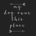 thumbnail image 2 of Matic,Jelena 15x15 White Modern Wood Framed Museum Art Print Titled - My Dog Owns, 2 of 4