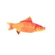 thumbnail image 5 of Juguete de peluche para gatos Salvador Catnip Fish 18 cm almohada rellena, 5 of 10