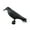 Black, variant on JilgTeok 1 Packs Simulation Hunting Bait Decoration Plastic Bird Crow Jewelry Feet Stake for Yard Garden Decoration