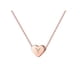 thumbnail image 1 of 26 Initial Heart Shape Alphabet Collar para Mujeres Collares de Acero Inoxidable para Mujeres A Z 26 Alphabet Initial Collares de Oro Rosa para Mujeres Niñas, 1 of 5