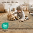 thumbnail image 4 of ODIKA 9'x12' Washable Area Rug Non-Shedding, Easy Care Topographic Bordered Abstract Map Curves Elevation Lines Wavy Flowing Dynamic for Master Suite, California King, Under Bed, 4 of 7
