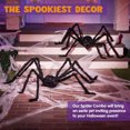 thumbnail image 3 of Espeluznante Araña Peluche para Interiores Y Exteriores Falsa Suave Peluda Aterradora Color, 3 of 9