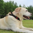 thumbnail image 2 of HAHDAXIA Collier Martingale pour Chiens avec Boucle à Dégagement Rapide, Collier Réfléchissant Robuste pour Chiot pour la Sécurité, Colliers en Nylon Ajustables pour Chiens de Petite, Moyenne et Grande Race pour la Marche et l'Entraînement, Bla, 2 of 7