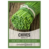 Garlic Chives Seeds