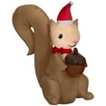 thumbnail image 1 of Christmas Airblown Squirrel, 1 of 6