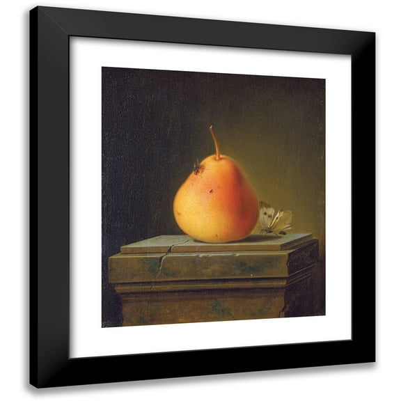 Justus Juncker 12x14 Black Modern Framed Museum Art Print Titled - Still Life with Pear and Insects (1765)
