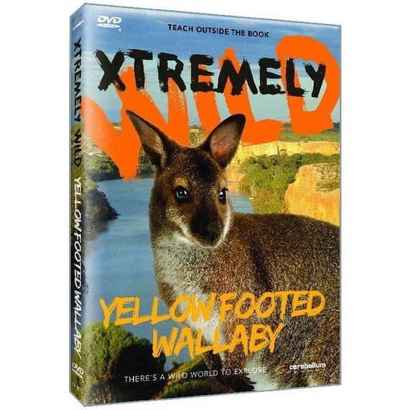 Yellow Footed Wallaby (DVD), Cerebellum Generic, Special Interests