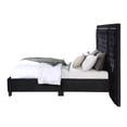 thumbnail image 3 of ACME Damazy Queen Bed in Black Velvet, 3 of 5