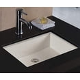 thumbnail image 1 of Wells Sinkware Rectangular Vitreous Ceramic Lavatory Single Bowl Undermount Bisque 20 x 16 x 6, 1 of 1