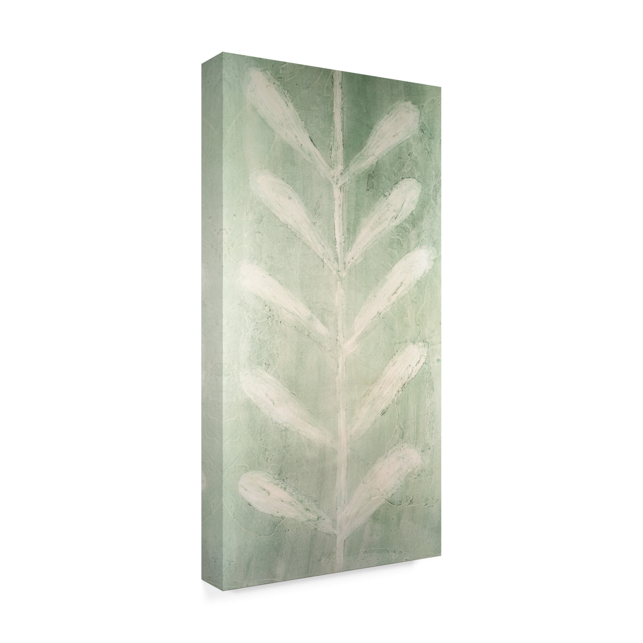 Canvas Wall Art - Vanna Lam 'Veriegatas II' Wall Art for Living Room, Bedroom, or Office Décor by Trademark Fine Art - 12 x 24 Inches