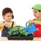 thumbnail image 5 of Plántulas De 24 Agujeros, Bandeja De Inicio De Semillas, Bandejas De Germinación De Plantas, Tapas De Cúpula Ajustables De Humedad Para Cultivo De Semillas, Iniciador De Plantas Eigraketly HA039914-00, 5 of 6