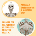 thumbnail image 2 of Syncfun 6 Pcs Skeleton Halloween Decorations,16 Inch Full Body Poseable Skeleton with Movable Joints for Halloween Indoor Outdoor Party,Graveyard,Haunted House Accessories, 2 of 6