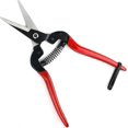 thumbnail image 1 of Pointed pruning shears with carbon steel blades, 1 of 5