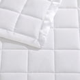 thumbnail image 5 of BrylaneHome Down-Alternative Blanket, 5 of 6